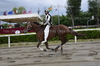 Immagine <b>REG_9243</b>